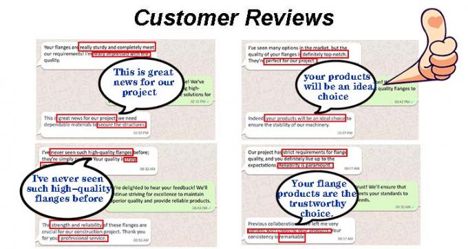 Métal Chine usine cuivre nickel échantillons raccords de tuyaux Flange B16.5 Flanges 7