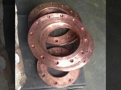 Flange à gaz au cuivre nickel de classe 150-2500 pour les installations de gazoducs