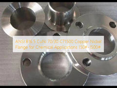 Brides en cuivre et nickel pour usage chimique