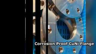 Utilisation chimique de bride CuNi 70/30