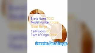 Brides de lunettes Cuivre Nickel 90/10 Forgé