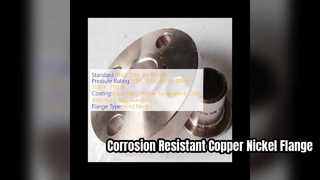 Solution résistante à la corrosion de bride en cuivre et nickel durable