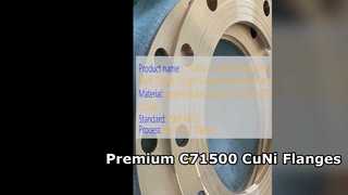 C71500 CuNi 70 30 Bride à col soudé Qualité forgée de qualité supérieure
