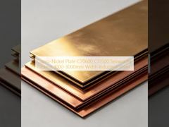 Feuilles de nickel Cupro de haute qualité C70600 C71500 industrielles
